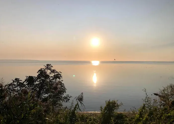 8 Person In Haderslev